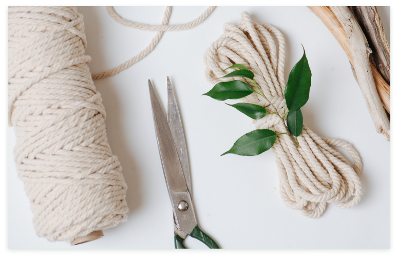 Fournitures de macramé : pelote de corde en coton, ciseaux et branche de feuillage