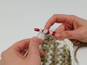 Jetés au crochet